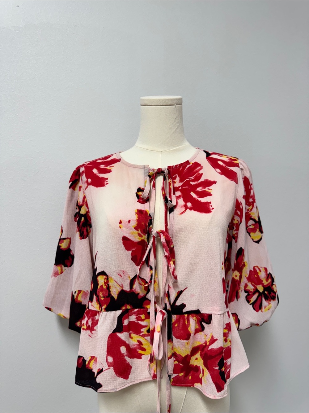 Walter Baker Sheer Pink Blouse with Red Floral Print